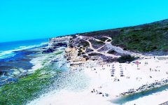 Kr&oacute;lestwo surfingu